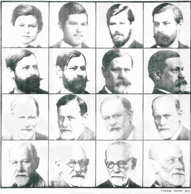 i want to know more and more about Sigmund Freud's theories .